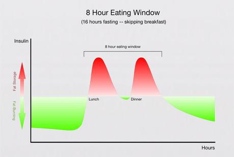 Short Fasting Regimens – up to 24 Hours