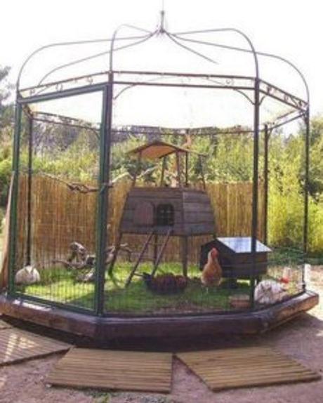 Chicken Coop Made From an Aviary