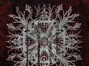 Mammoth Weed Wizard Bastard Proffwyd Dwyll