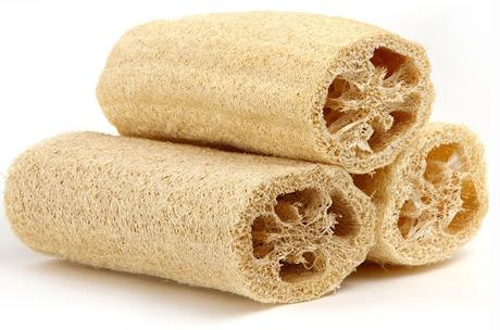 Loofah: Boon or Bane