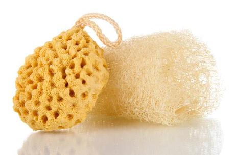 Loofah: Boon or Bane