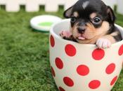 Space Saving Small Bedroom Ideas