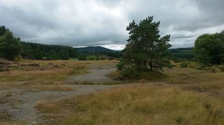 Corndon Hill, visible again.