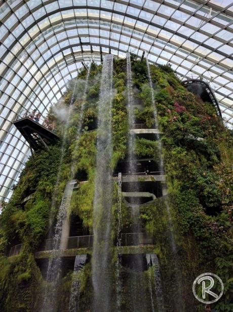 Cloud Forest - Gardens by the Bay (Day 2)