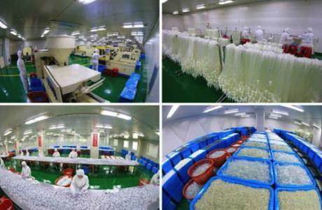 View of products of the Taedonggang Syringe Factory which appeared on the bottom right of the front page of the September 24, 2016 edition of the WPK daily organ Rodong Sinmun (Photos: KCNA/Rodong Sinmun).
