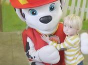 Devon Days Out: Family Sheep