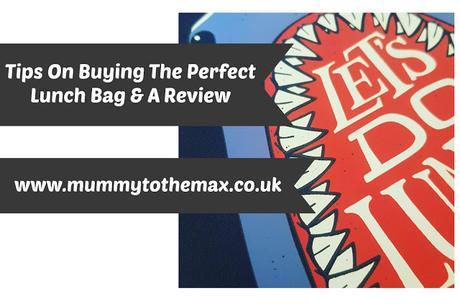 Tips On Buying The Perfect Lunch Bag & A Review