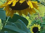 Must Forgive Yourself