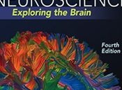 What Best Neuroscience Textbooks? Which Textbooks Elite Universities Use? Them Cheap?