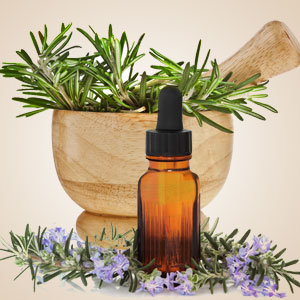 Rosemary Fragrance Oil