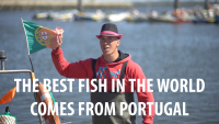The best fish in the world comes from Portugal