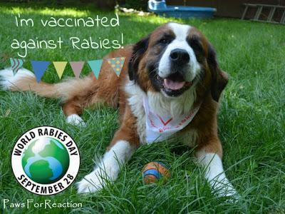 #WorldRabiesDay 2016: Why I #vaccinate my #pets against #rabies