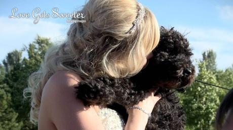 bride with cockapoo dog at wedding at Malkins Bank Golf Club wedding
