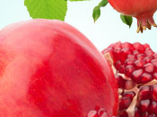 Pomegranate Fragrance