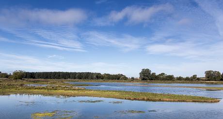 Floodplain Forest Nature Reserve Stilt Pits