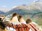 Facts About Camels Kyrgyzstan