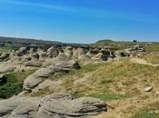 Writing-On-Stone: Explore Alberta’s Treasures