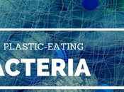 Plastic-Loving Bacteria Reduce Plastic Waste Landfills?