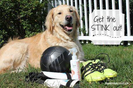 keep your dog and soccer cleats smelling fresh with odor neutralizing spray from isle of dogs