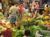 Malik Ghat Flower Market Kolkata: Truly Arresting Striking Experience