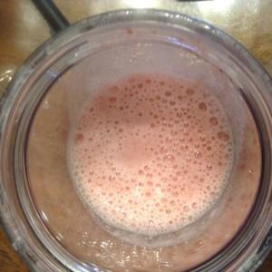 BiPro Protein Powder 2