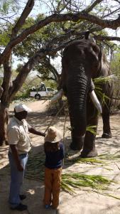 My daughter telling Tembo to 'talk!'.