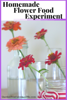 Homemade Flower Food Experiment