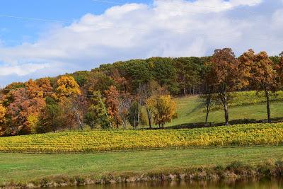 My Favorite Chef Peter X. Kelly to Guest Chef at Millbrook's Harvest Party