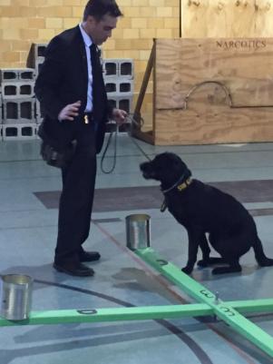 Crime and Science Radio: Meet Iris, the FBI’s Only Electronic-sniffing Dog: An Interview with Jeffrey Calandra