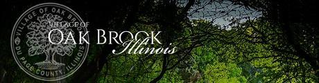 Oak Brook Fire Dept. (IL) FIREFIGHTER/PARAMEDIC oakbrookft