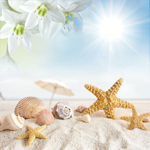 NG Sun and Sand Type Fragrance Oil