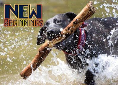 #NationalBlackDogDay - #October 1st educates about #BlackDogSyndrome