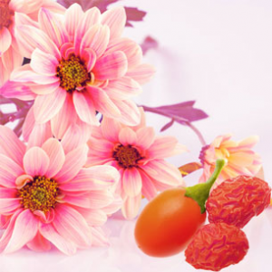 Pink Daisies & Goji Berries Fragrance Oil