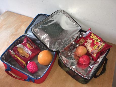 Children’s Lunchboxes Could Trigger Asthma, Eczema and Cause Food Poisoning