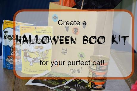 Create A Halloween Boo Gift Kit for Your Purfect Cat!