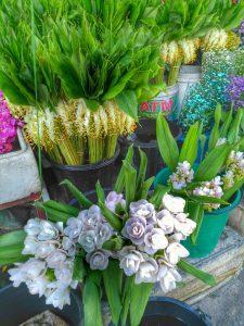 flower market - Chiang Mai, Thailand