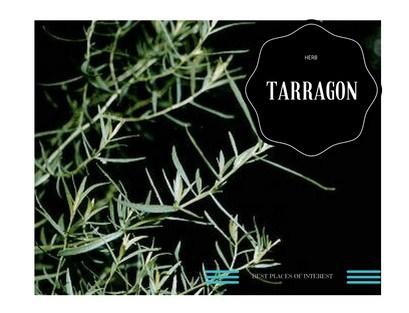 Herb It Up With Tarragon