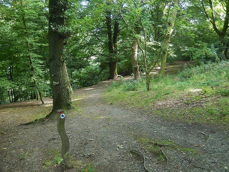 Long Mynd and Carding Mill Valley (Part 1)