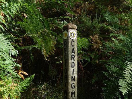 Long Mynd and Carding Mill Valley (Part 1)