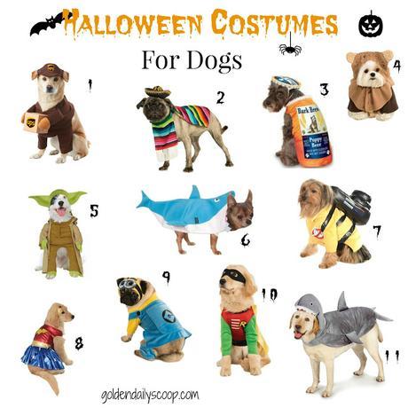 favorite dog halloween costumes