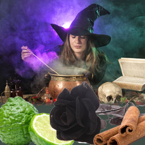 Witching Hour Fragrance