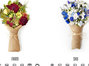 Support Chicago Charities with Flower Power