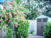 Things Considered When Buying Outdoor Storage Sheds