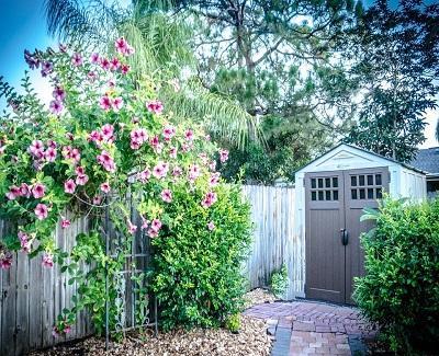 outdoor-shed