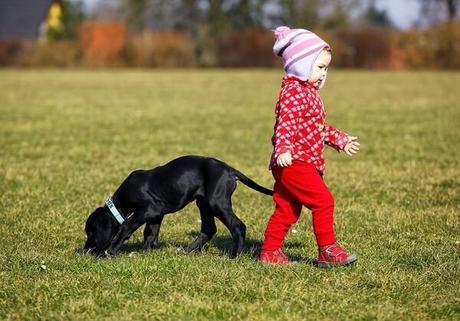 Bringing a Dog Into a Home with Children:  How To Do  It Successfully