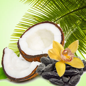 NG Exotic Coconut Type Fragrance Oil