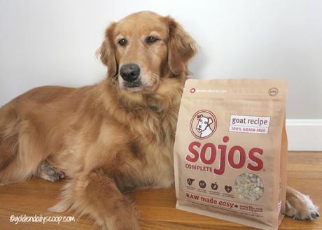 Sojos raw dog food and treats review
