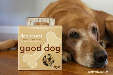 Sojos good dog shepherd's pie flavor dog treats