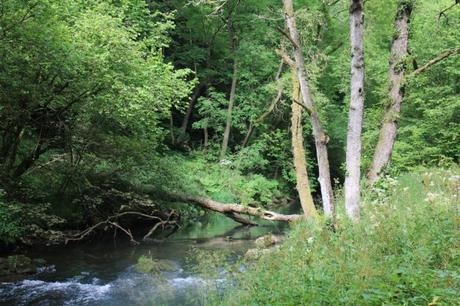  photo Dovedale Peak District 7_zpsfdb9ewss.jpg