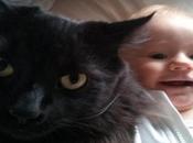Cats Need Keep Away From Babies